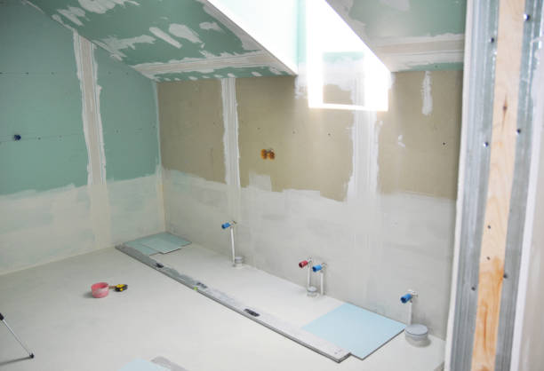 Best Post-Construction Mold Inspection  in USA